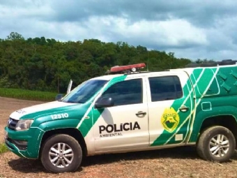 Operao da Polcia Ambiental em Campina da Lagoa resultou em aves apreendidas e R$ 64, 5 Mil Reais em multas
