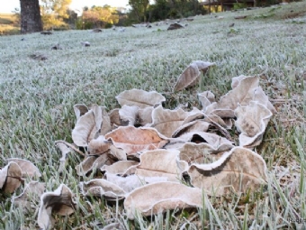 Frio intenso e alerta de geada marcam a semana em Campina da Lagoa