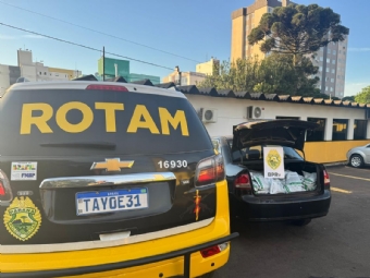 ROTAM apreende 150 kg de agrotxicos contrabandeados e prende motorista na BR-163