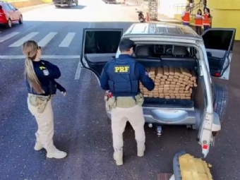 PRF apreende 300 kg de maconha em SUV na BR-376