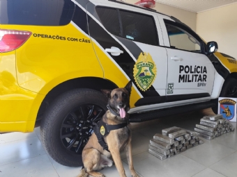 Dois homens so presos com quase 30 kg de maconha durante Operao Protetor, no Noroeste do Paran